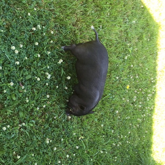 Meet your Posher, Janet - Picture 1 of 1